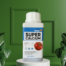 SUPER CALCIUM