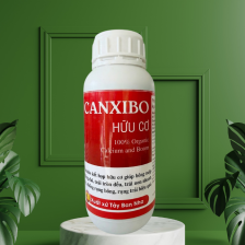 CANXIBO HỮU CƠ