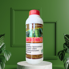 CHẶN ĐỌT HỮU CƠ