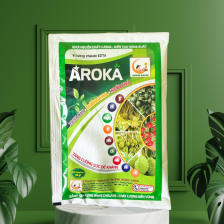 AROKA